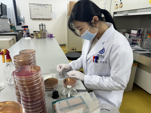 경복대학교 임상병리학과 이주영 학생, 고려대학교 일반대학원 석· 박사통합과정 합격 쾌거